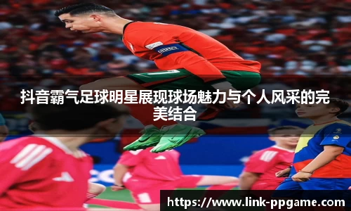 pp电子模拟器