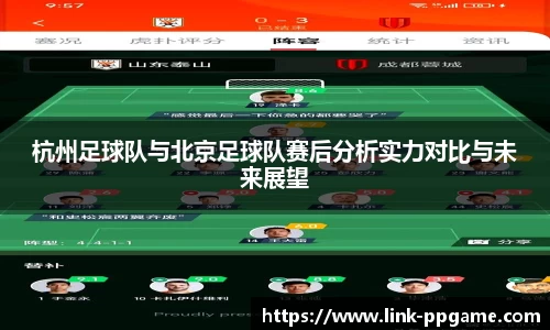 pp电子模拟器